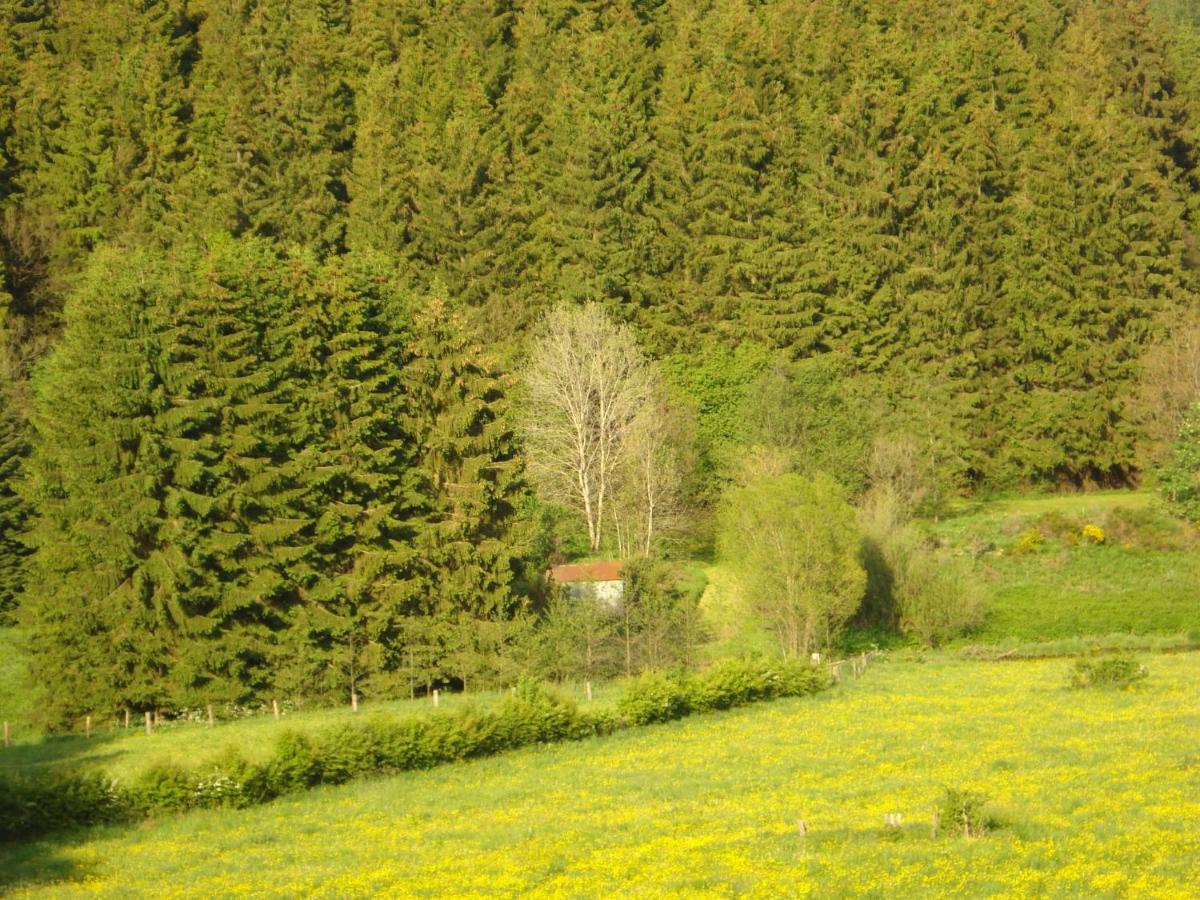 Location Panoramagreen Burg Reuland Exteriér fotografie